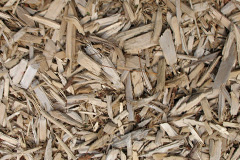 biomass boilers Merehead